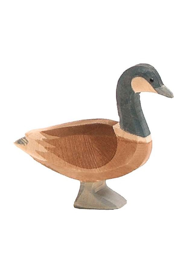 Canadese gans staand