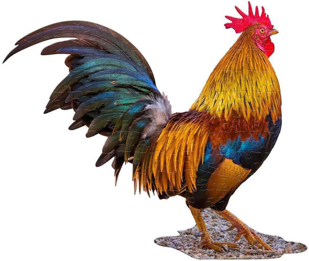 I Am Lil' Puzzle Jr.: Rooster - Image 2