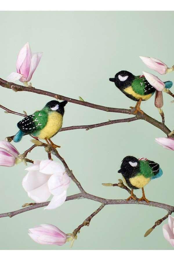 Vogels: Koolmeesje
