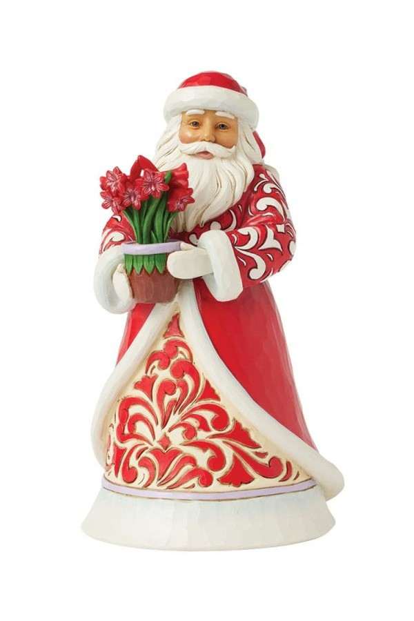 Kerstman met amaryllis