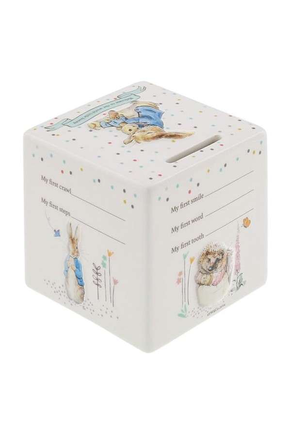 Peter Konijn Mijn eerste spaarpot