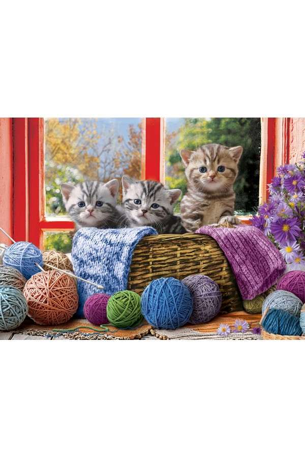 Knittin’ Kittens (500XL)
