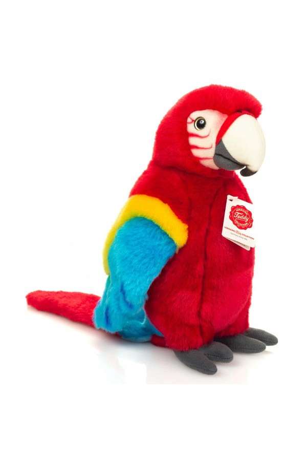 Scarlet Macaw papegaai