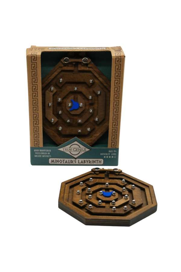 Breinbreker Minotaur’s Labyrinth, Project Genius