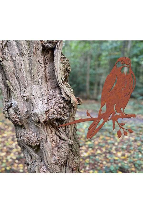 Geluksvogel Havik Roest metaal