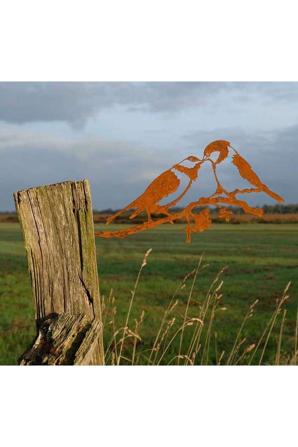 Geluksvogel Mezen paartje Roest metaal