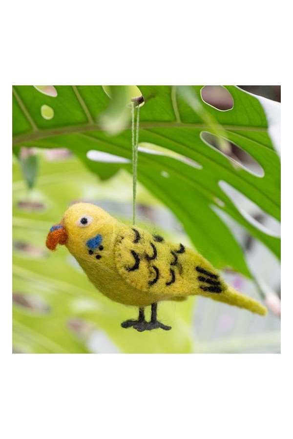 Vogel: Grasparkiet Groen