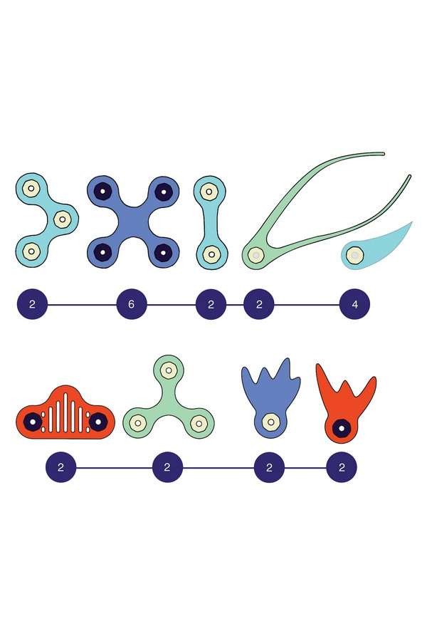 Clixo | Ocean Creatures - Afbeelding 4