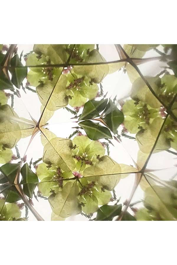DIY bloemen kaleidoscoop / Lentegroen - Afbeelding 3