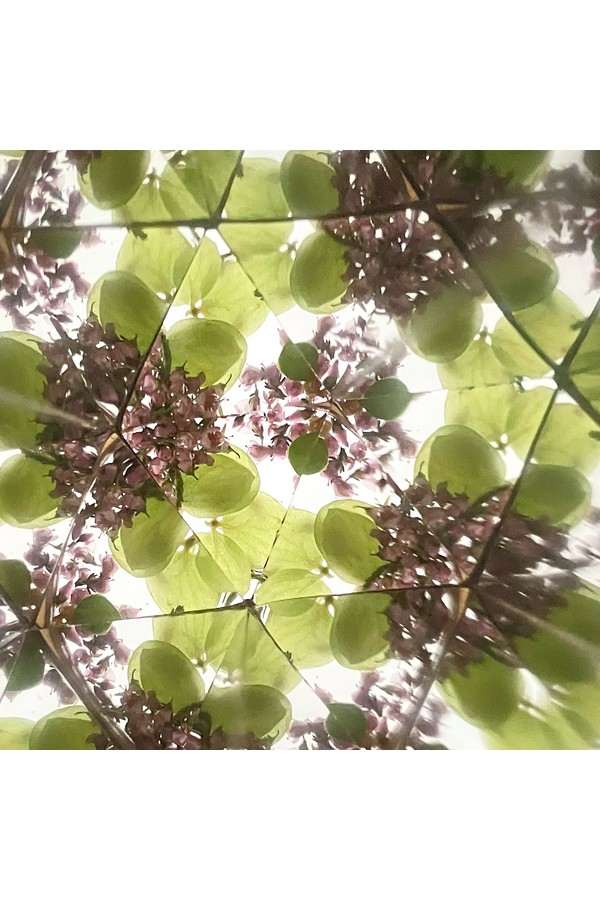 DIY bloemen kaleidoscoop / Lentegroen - Afbeelding 4