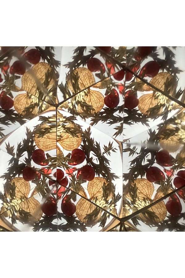 DIY bloemen kaleidoscoop / Winterglans - Afbeelding 3