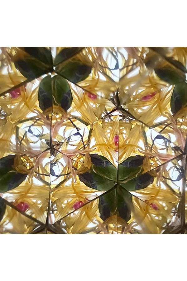 DIY bloemen kaleidoscoop / Zomerweide bloemen - Afbeelding 3