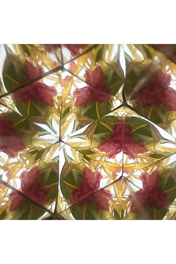 DIY bloemen kaleidoscoop / Zomerweide bloemen - Afbeelding 4