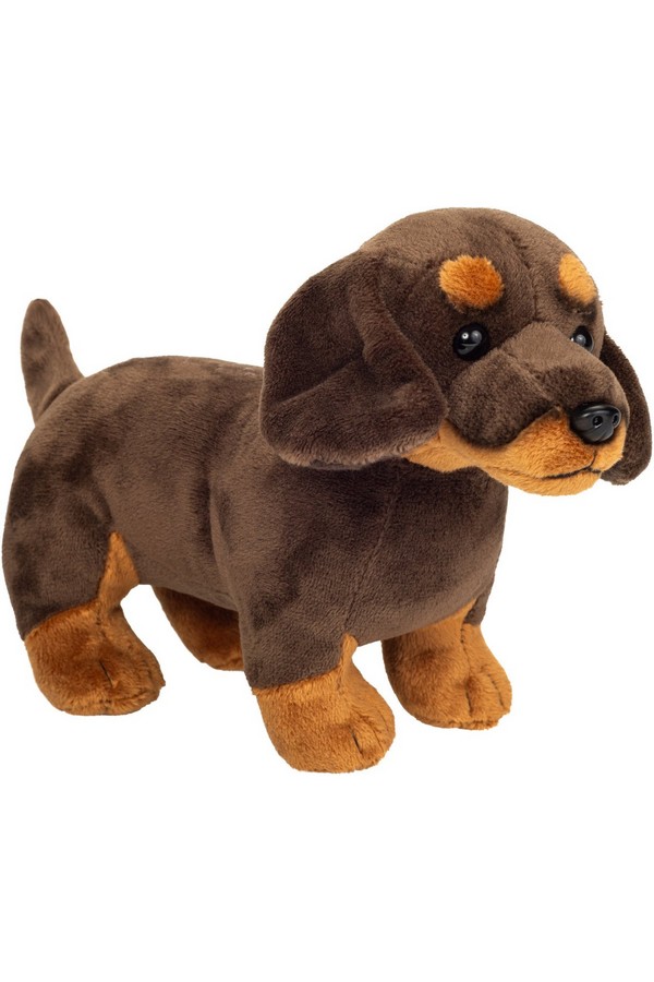 Teckel bruin