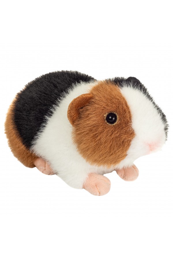 Cavia driekleurig