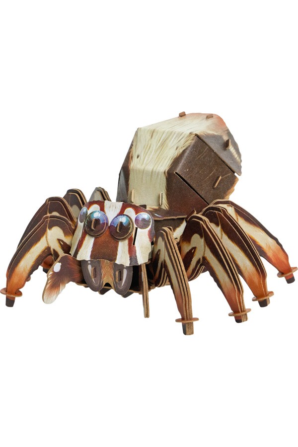 Makebug, Deep Jungle, Springspin