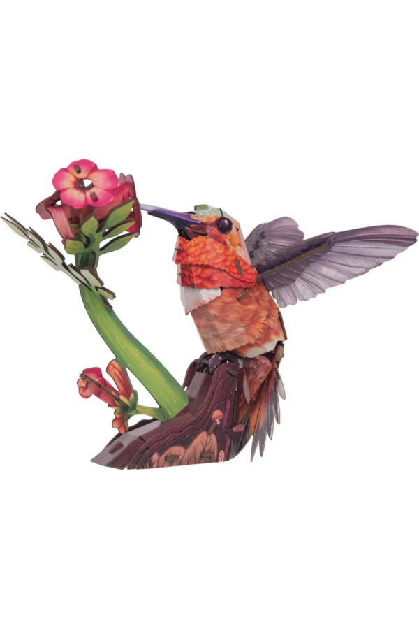 MakeBug, Sky Echo, kolibrie