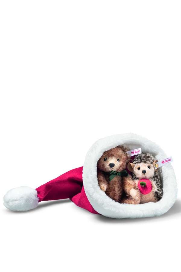 Egel en Teddybeer in een Santa kerstmuts