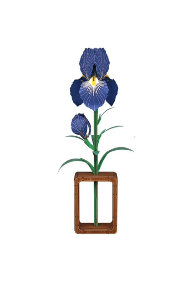 Cutebee Iris